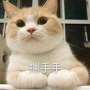 煤球