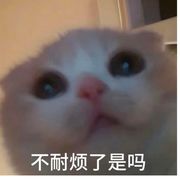 手机用户70021433