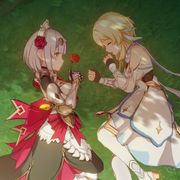 花信風