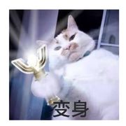 含义网名虽好可不能太短了