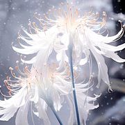 我妈叫我回家吃饭啦！