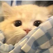 望情