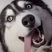 老妖