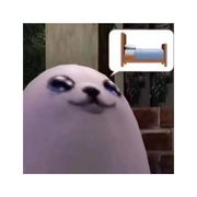 布星
