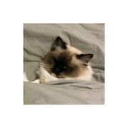 我的书包不见了