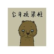 User441579572