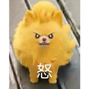 皮里㤙