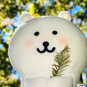 喵喵喵喵喵