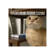 故山犹负平生约