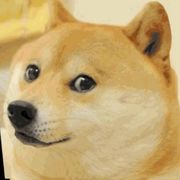 夜