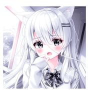 桃桃酱～
