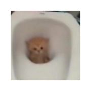 到底什么时候下课