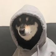 已成Joker