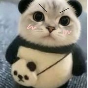 意苍澜
