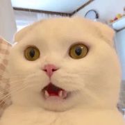 我只玩玉玲珑呀