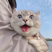 威