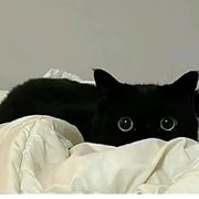 咪西