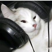 。