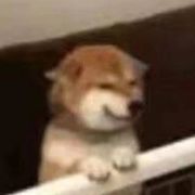 一个不想取名字的人