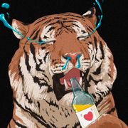 范大大