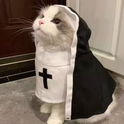 爱吃🍓酱的🐻