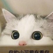 梨子🍐
