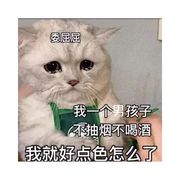 手机用户64566368