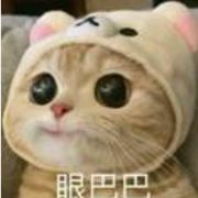 喵豆豆
