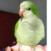 №④烁好Di悻麸伲