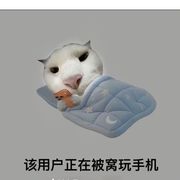 最强