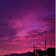 明月楼高休独倚