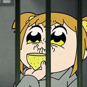 yuin