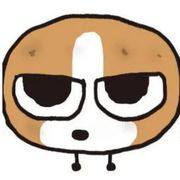 阿虞