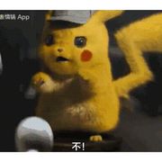 玉米小小小白