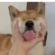 风风风