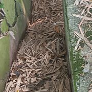 大运动会河