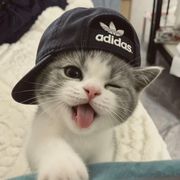 …