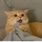 只玩游戏不花钱