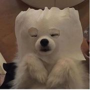 玲