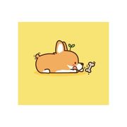 @汪