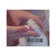 希咕噜咕噜