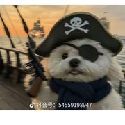 星落云散