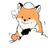 狐狸钥匙