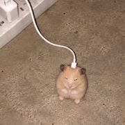 超级小熊侠