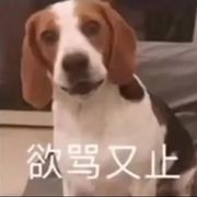 臭比喜爱联盟