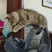 手机用户29465899