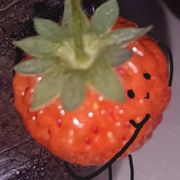 鱼干