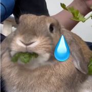 。？。？