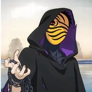 虎皮带土
