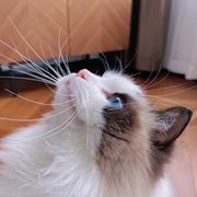 做梦也想一发出我推